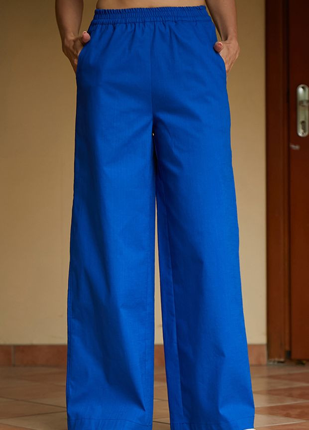 Синие повседневный демисезонные брюки Forly