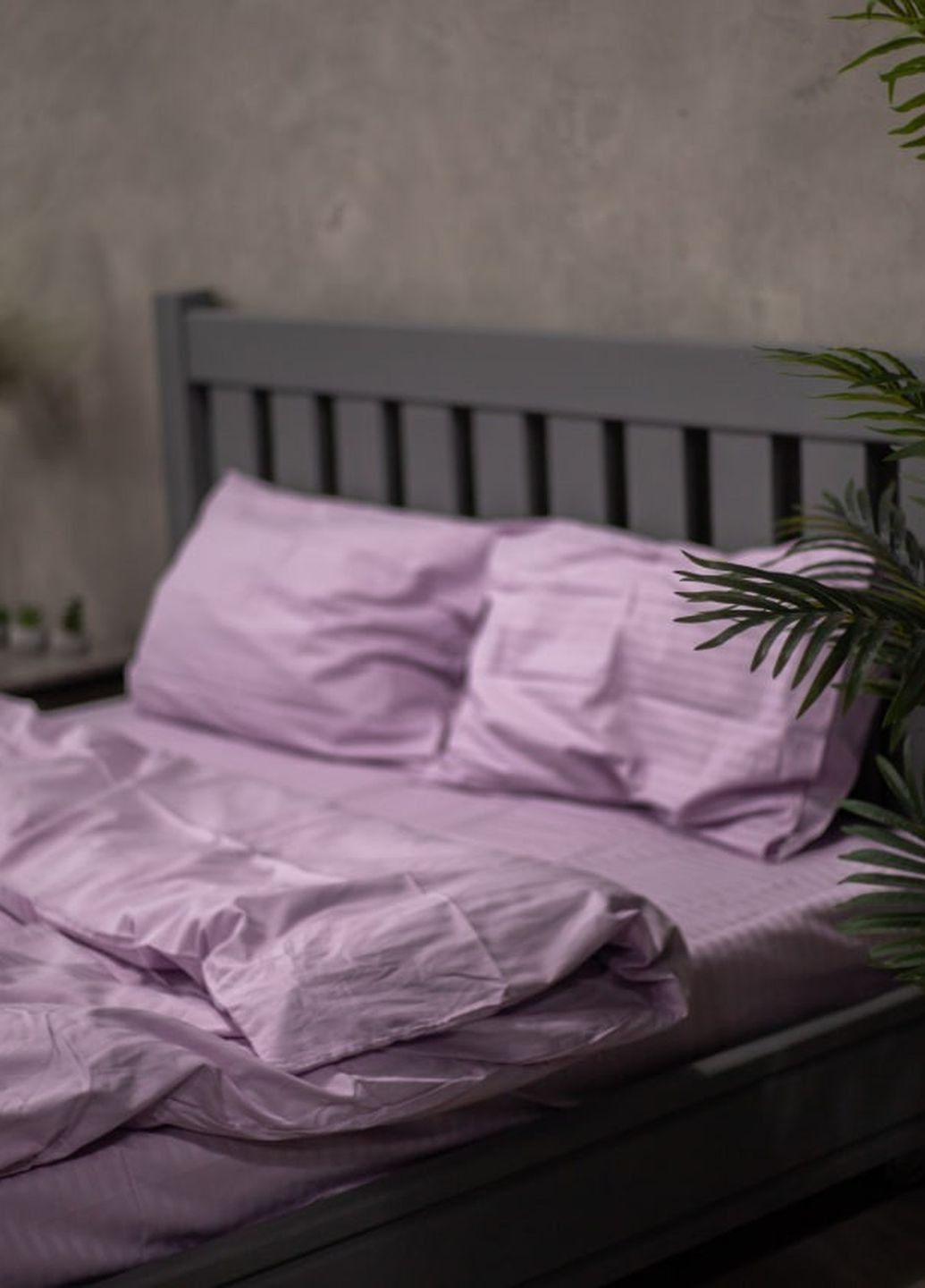 Комплект постельного белья Satin Stripe Lavender 100% хлопок 215х150 см 2 шт, 70х70 см семейный No Brand (260476752)