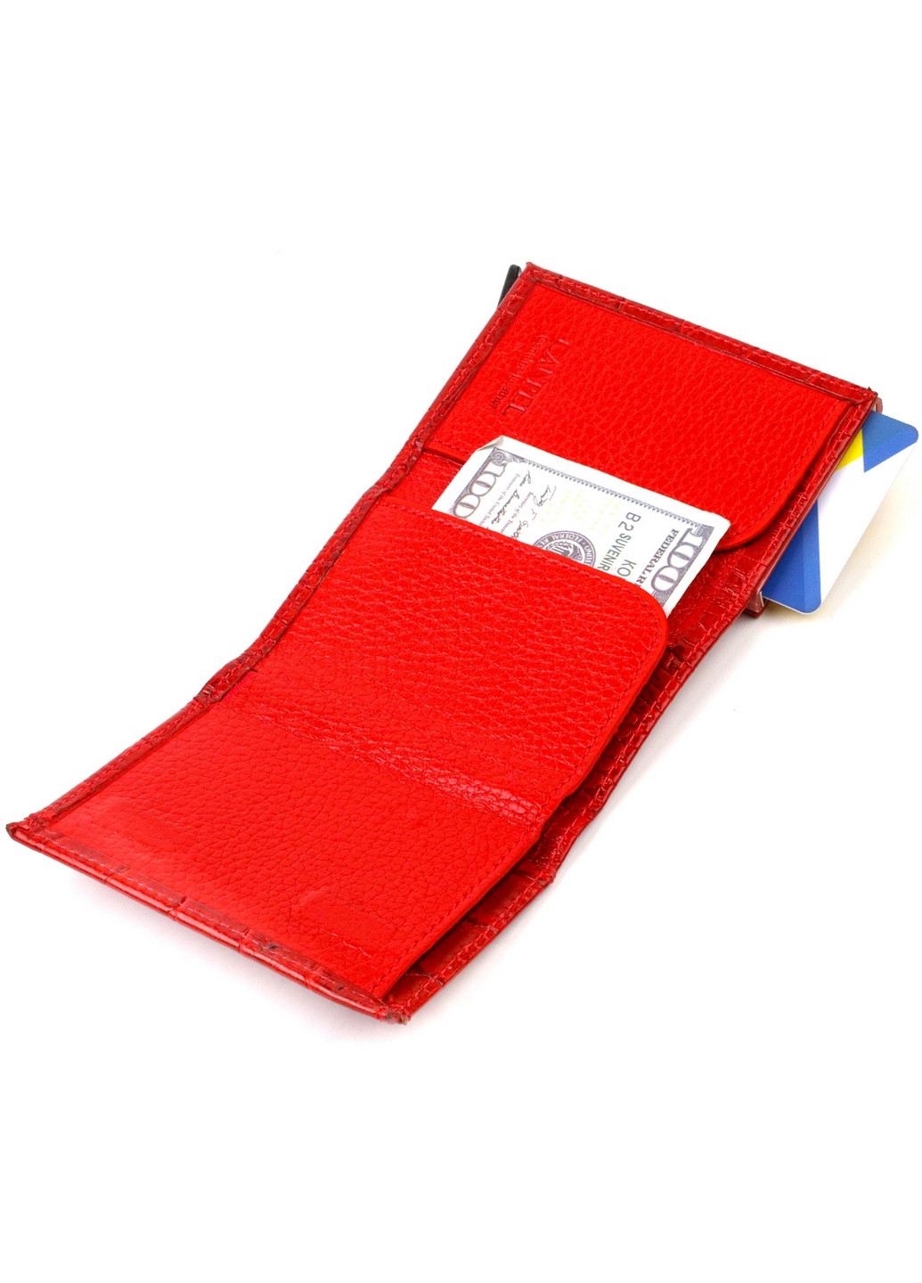 Картхолдер кожаный женский 6,5х9х2 см Canpellini (260498417)