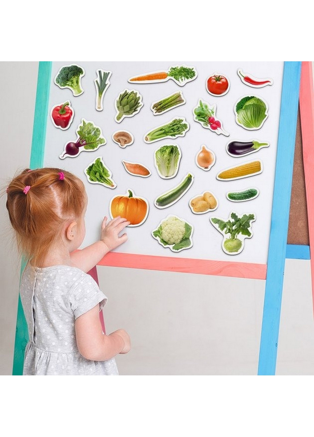 Набор магнитов "Овощи" 3,7х17х12 см MAGDUM (260497730)