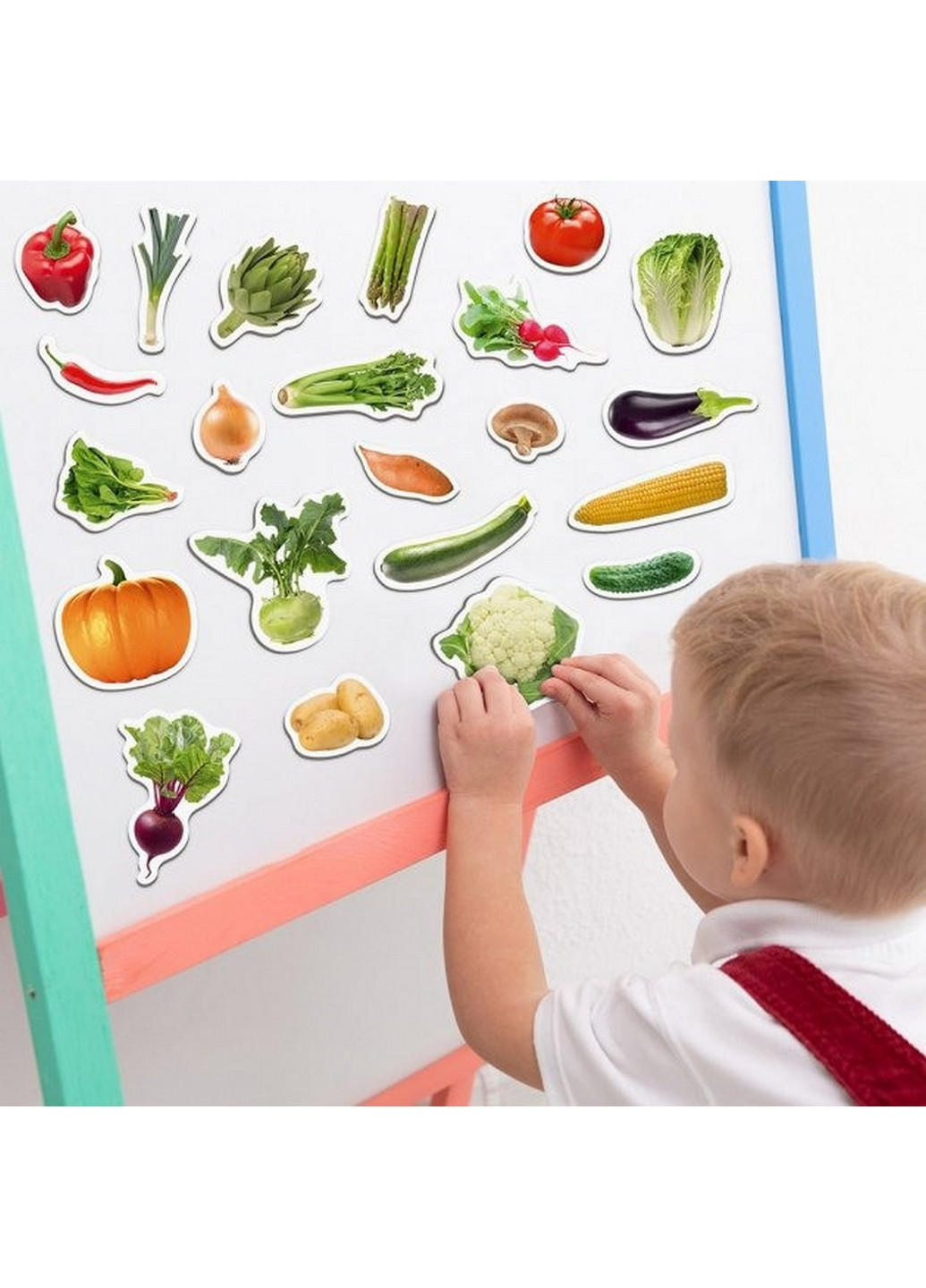 Набор магнитов "Овощи" 3,7х17х12 см MAGDUM (260497730)