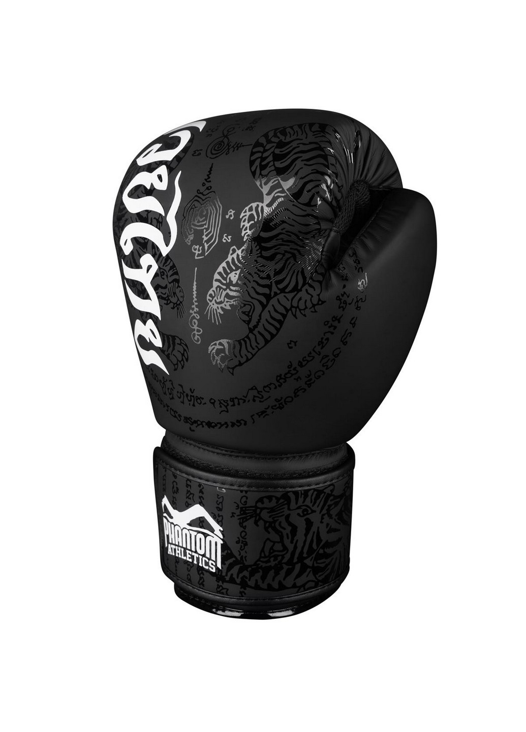 Боксерські рукавички 10 унцій No Brand (260498325)
