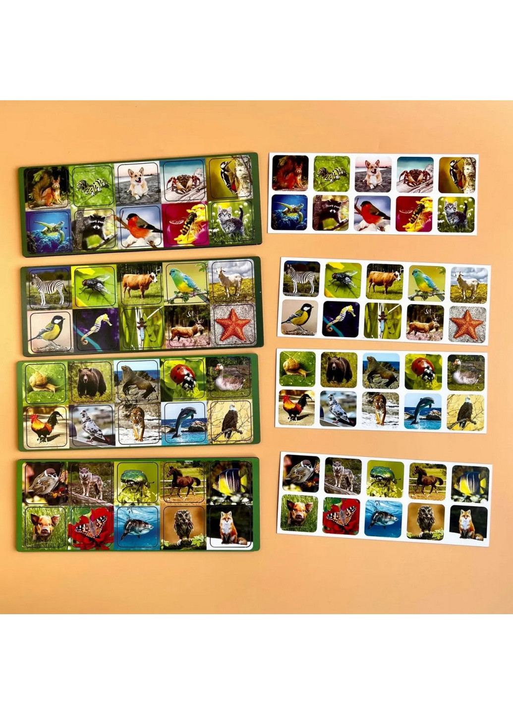 Настільна гра, що розвиває "Види тварин" комодик-сортер 9х8х23 см Ubumblebees (260512805)