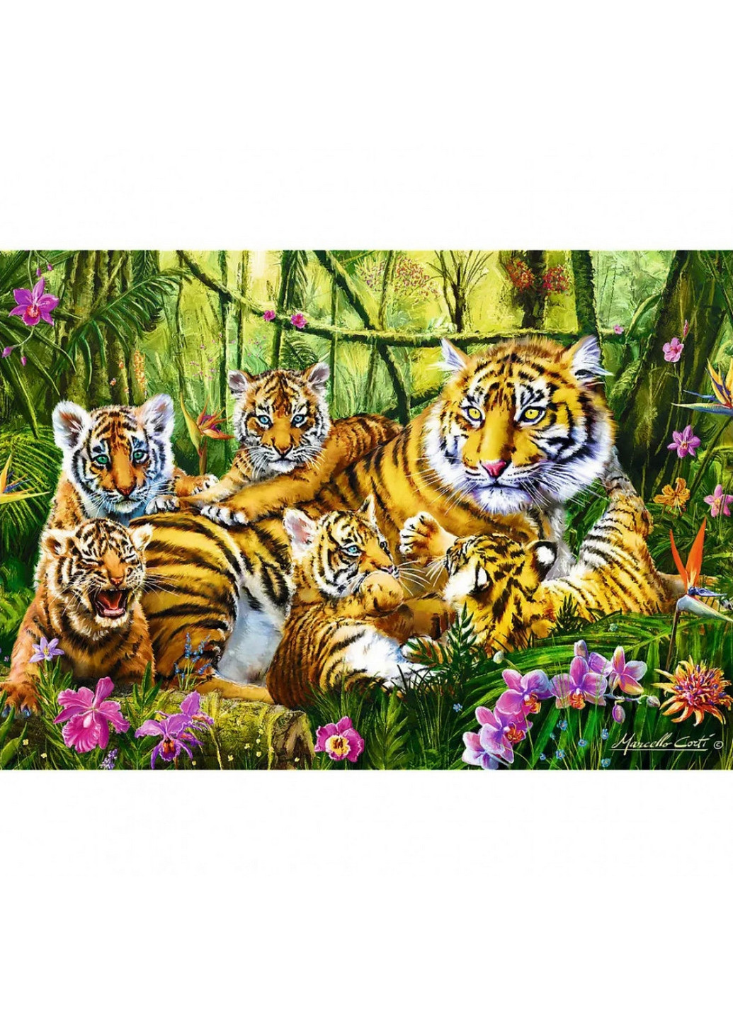 Пазлы "Семья тигров" (500 эл.) 27х4,5х40 см Trefl (260512399)