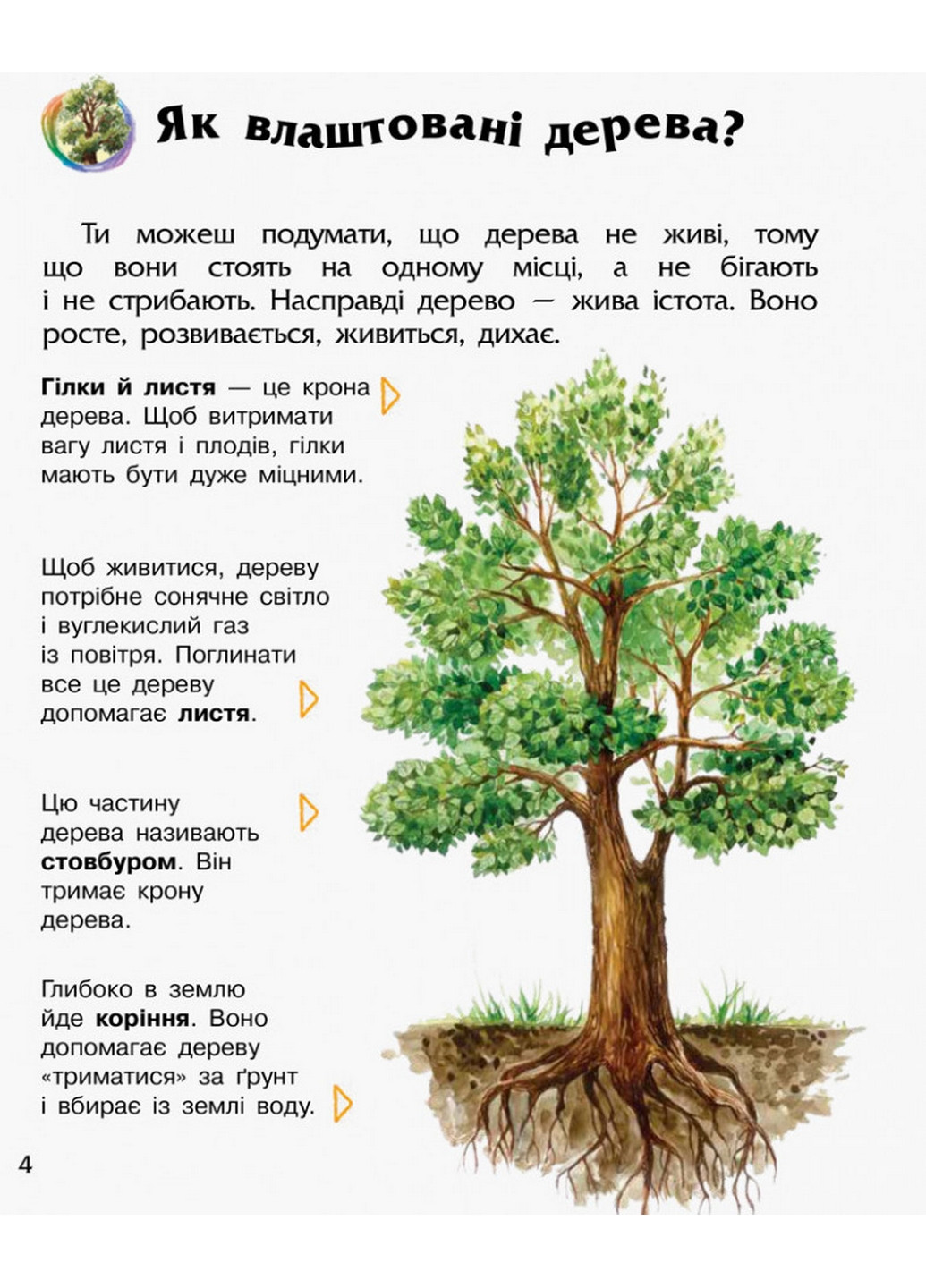 Дитяча енциклопедія про ліс 24х19,9х0,2 см Ranok Creative (260512528)