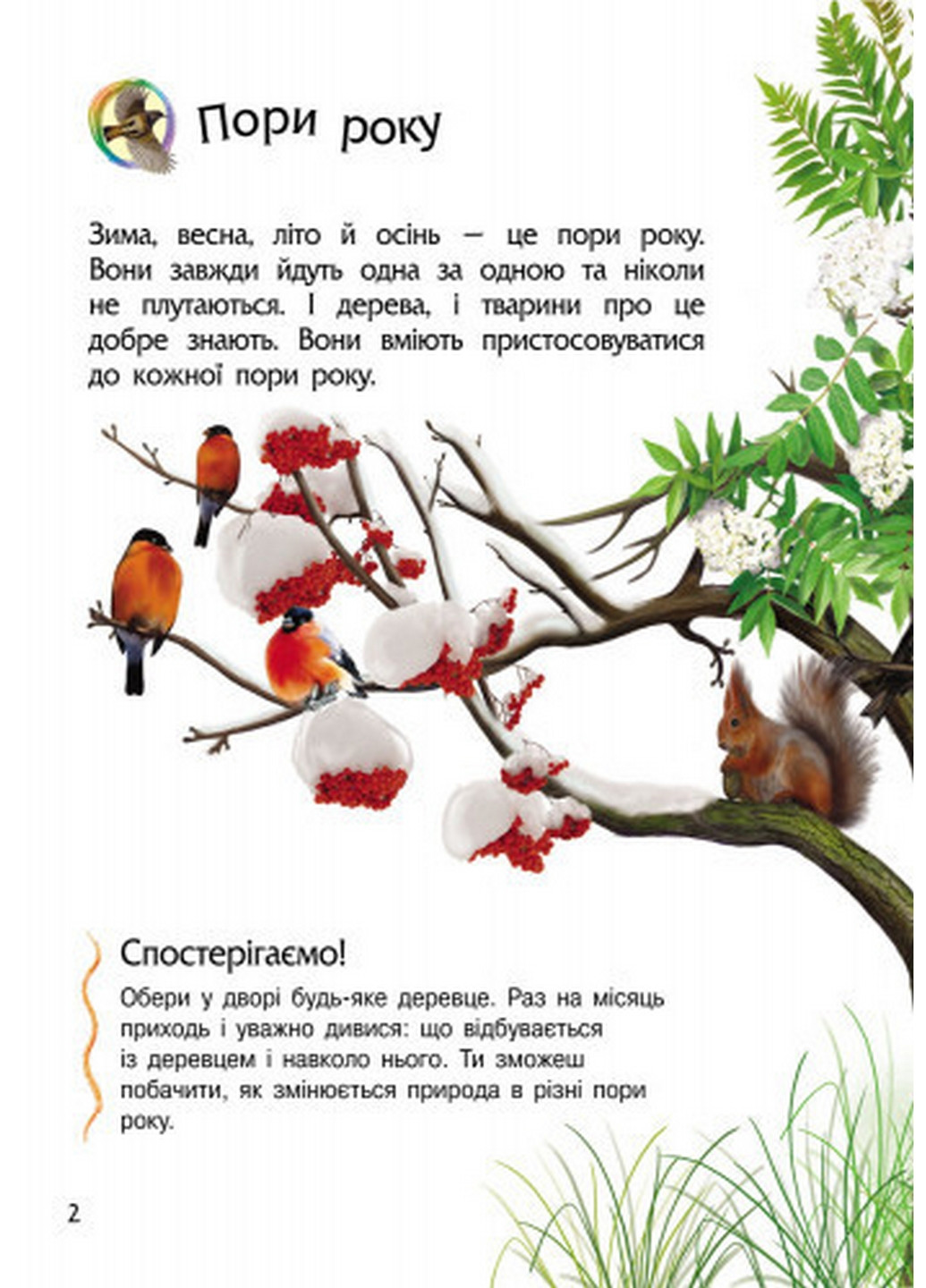 Дитяча енциклопедія про природу 23,8х19,8х0,2 см Ranok Creative (260530198)