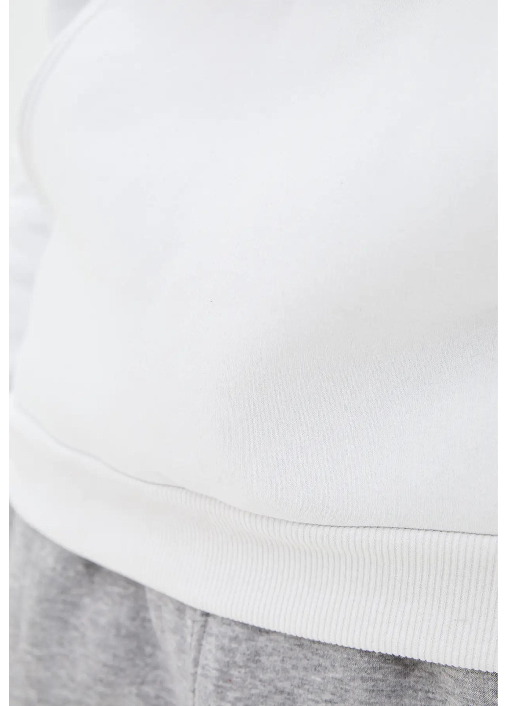 Мужские худи с начесом Sport Line (260631816)