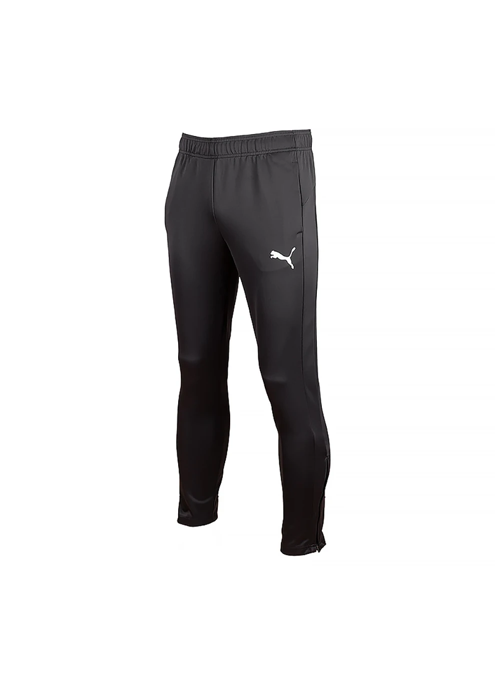 Черные спортивные демисезонные брюки Puma