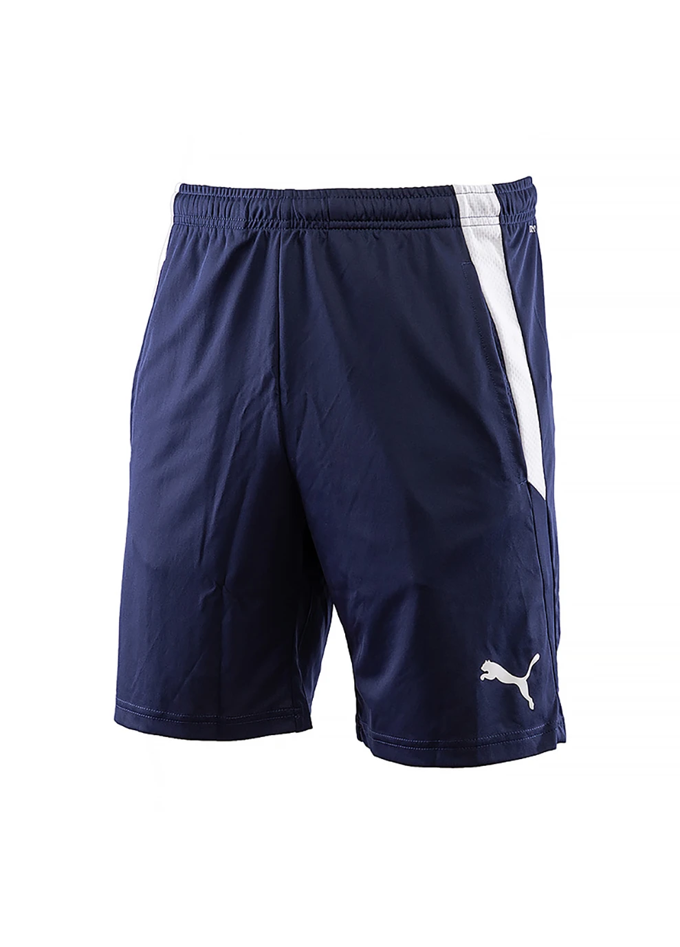 Мужские Шорты teamLIGA Training Shorts 2 Разноцветный Puma (260633940)
