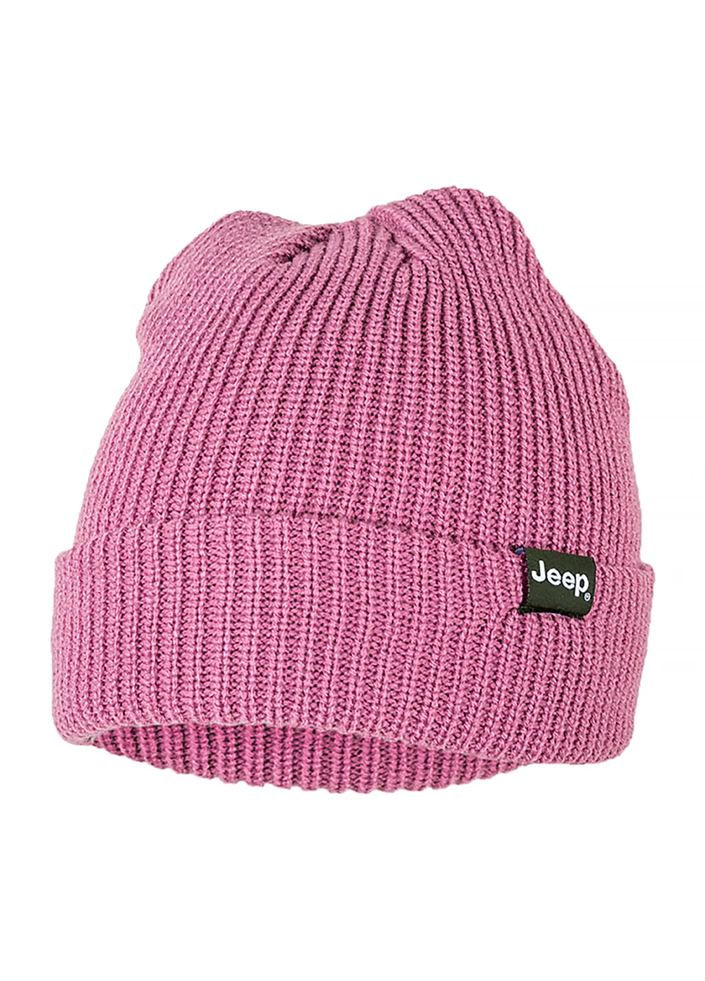 Чоловіча Шапка RIBBED TRICOT HAT WITH CUFF J22W Фіолетовий Jeep (260653297)