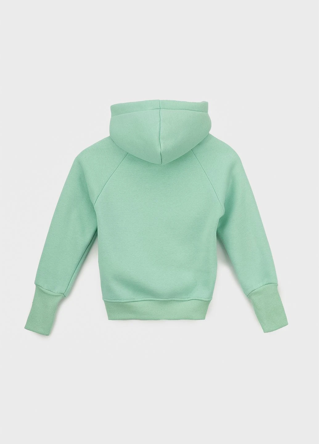 Костюм (реглан+штани) Safari (260735363)