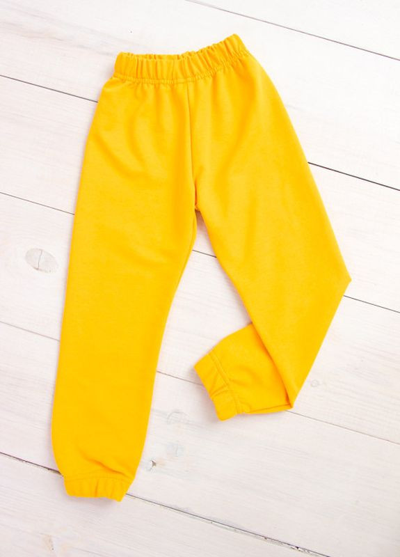 Желтые спортивные демисезонные брюки Носи своє