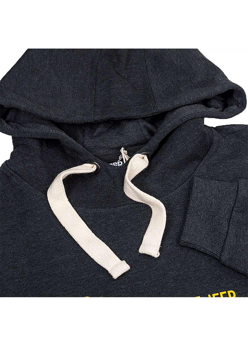 Чоловіче Худі HOODED SWEATSHIRT Since 1941 Сірий Jeep (260796186)