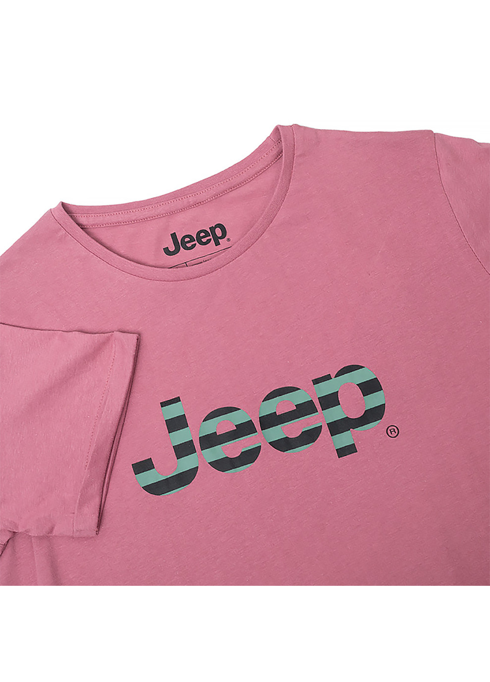 Фиолетовая демисезон женская футболка t-shirt oversize striped print turn фиолетовый Jeep