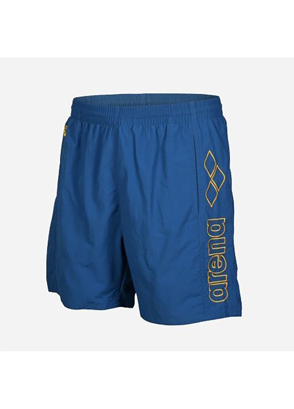 Мужские голубые спортивные плавки-шорты для мужчин berryn голубой Arena