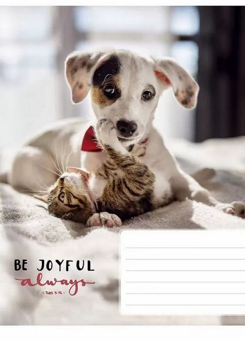 Тетрадь ученическая "Be joyful always" 018-3263L-4 в линию, 18 листов Школярик (261029876)
