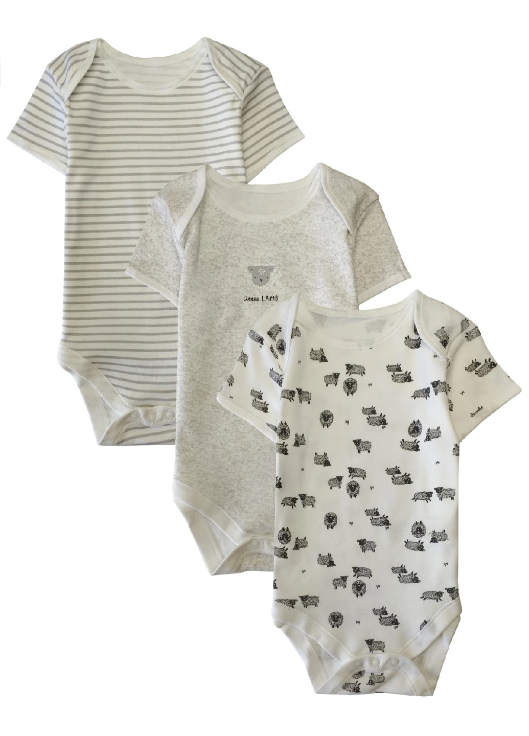Боди (3 шт.) Primark (261241407)