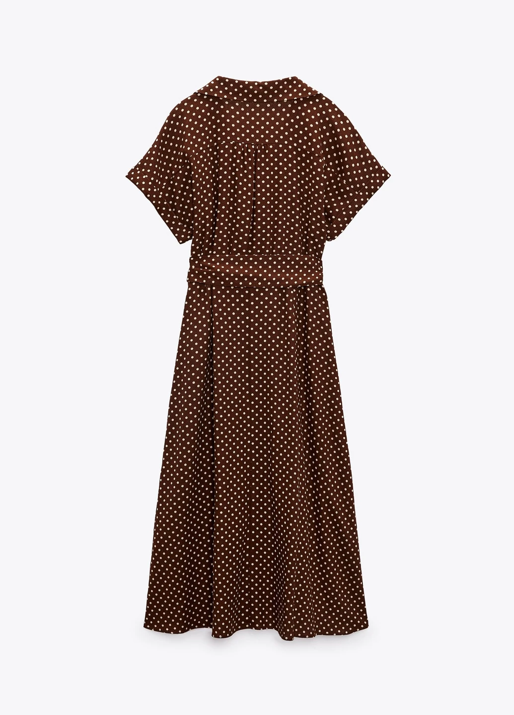 Коричнева повсякденний сукня Zara в горошок