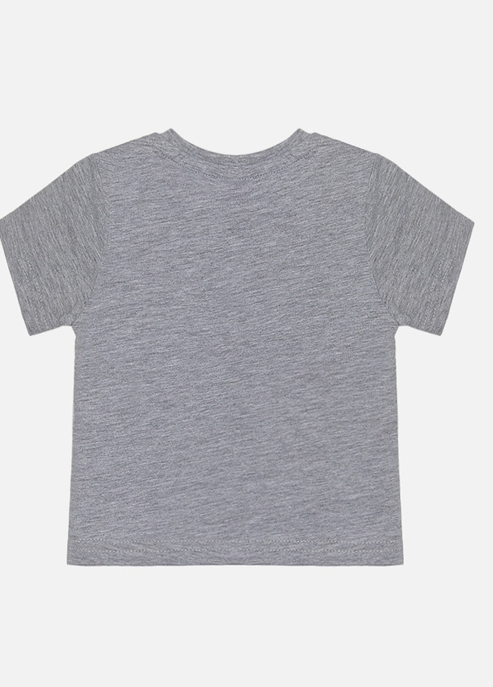 Сіра літня футболка для хлопчика колір сірий цб-00222284 No Brand