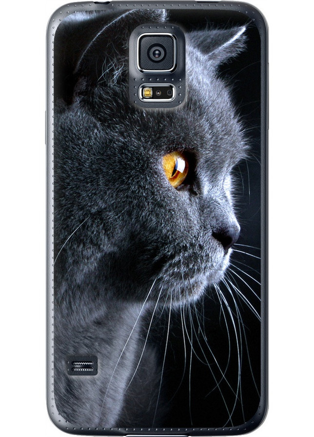 Силиконовый чехол 'Красивый кот' для Endorphone samsung galaxy s5 g900h (257906482)