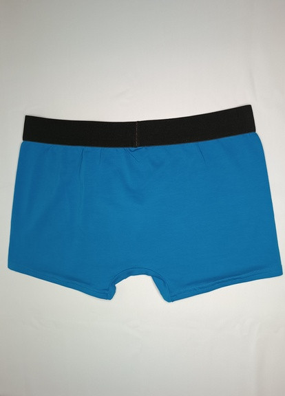 Модные голубые мужские трусы боксеры с толстой резинкой No Brand (270368353)