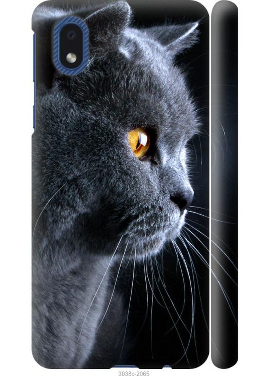 Чехол на Samsung Galaxy A01 Core A013F Красивый кот MMC (275270322)