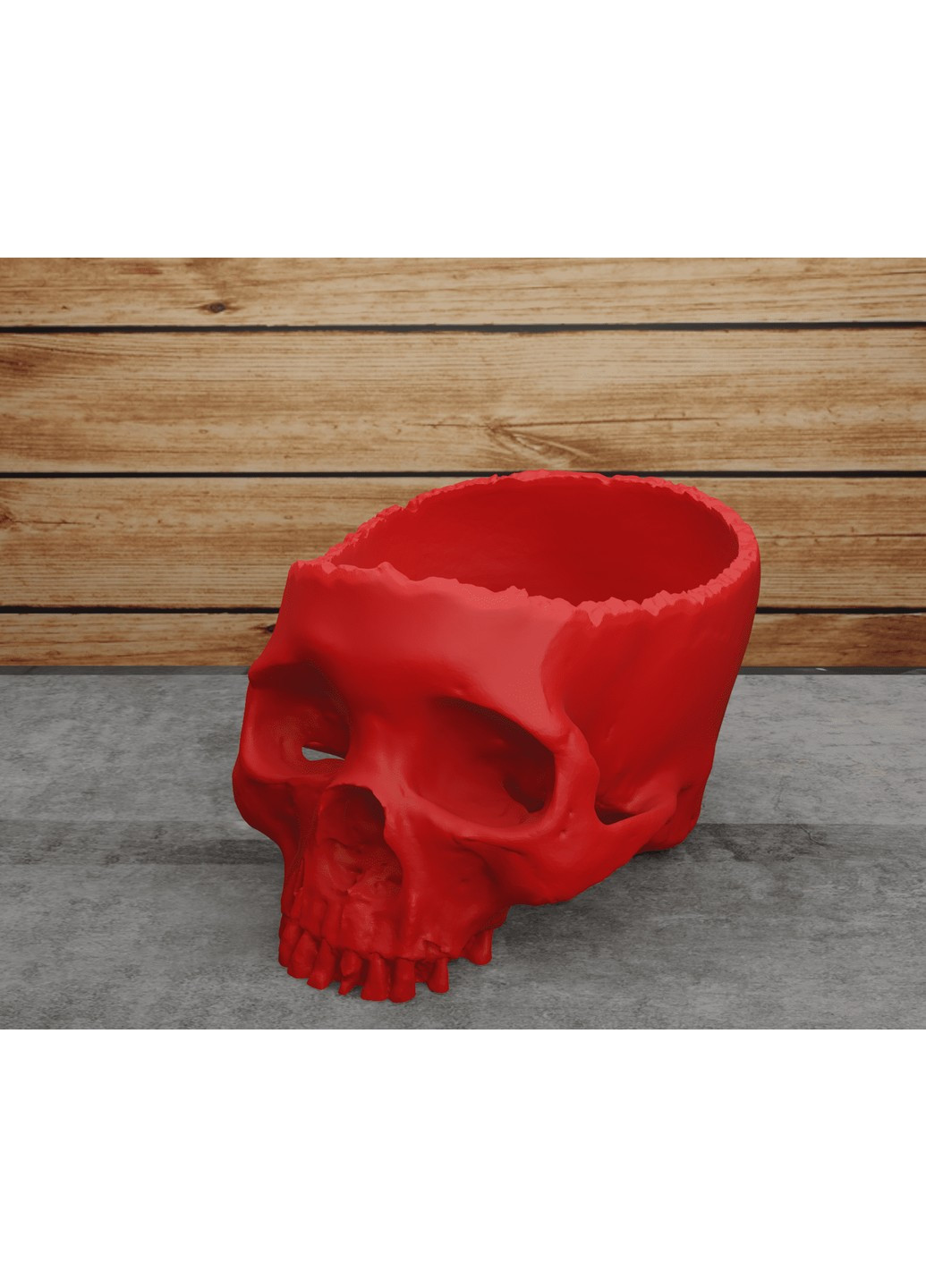 Відкритий череп. ЗаСвіт (266425354)