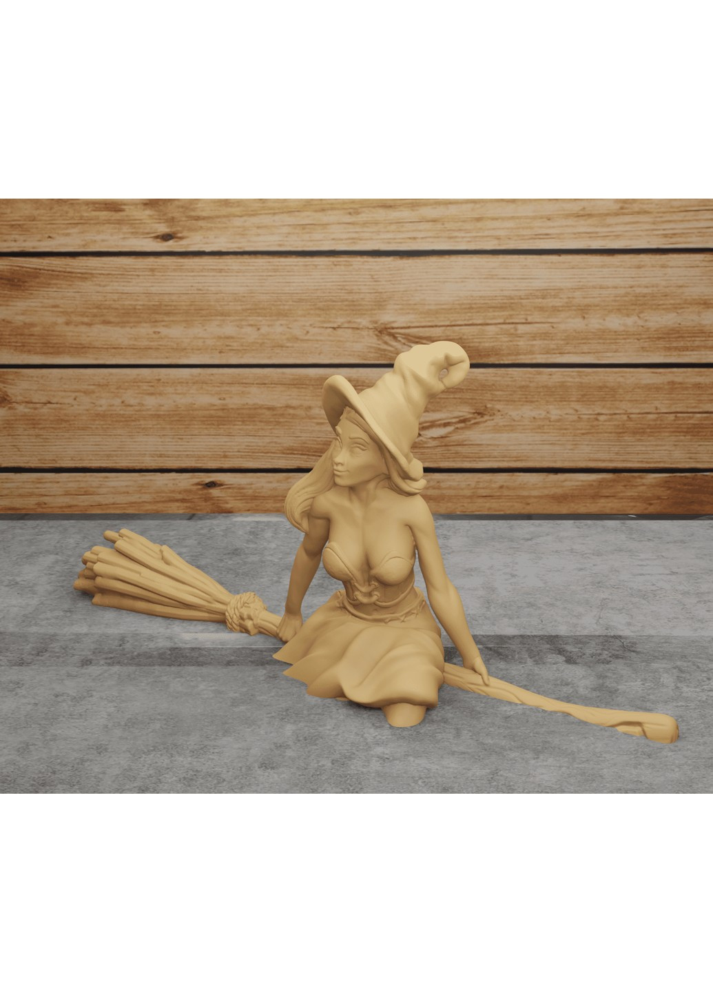 Ведьма на метле. ЗаСвіт (266425346)