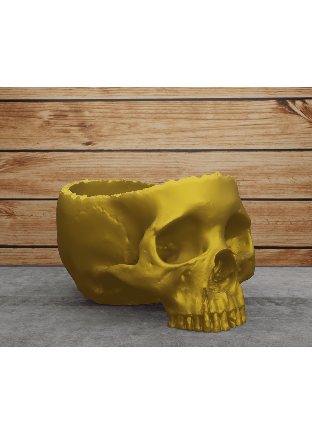 Открытый череп. ЗаСвіт (266425456)