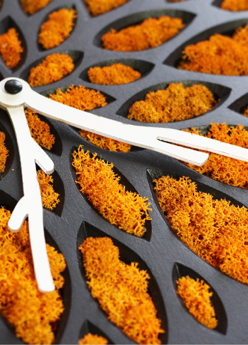 Часы настенные стильные практичные универсальные круглые со стабилизированным мхом из дерева 40х40х3.2 см (475778-Prob) Черные Unbranded (271140874)