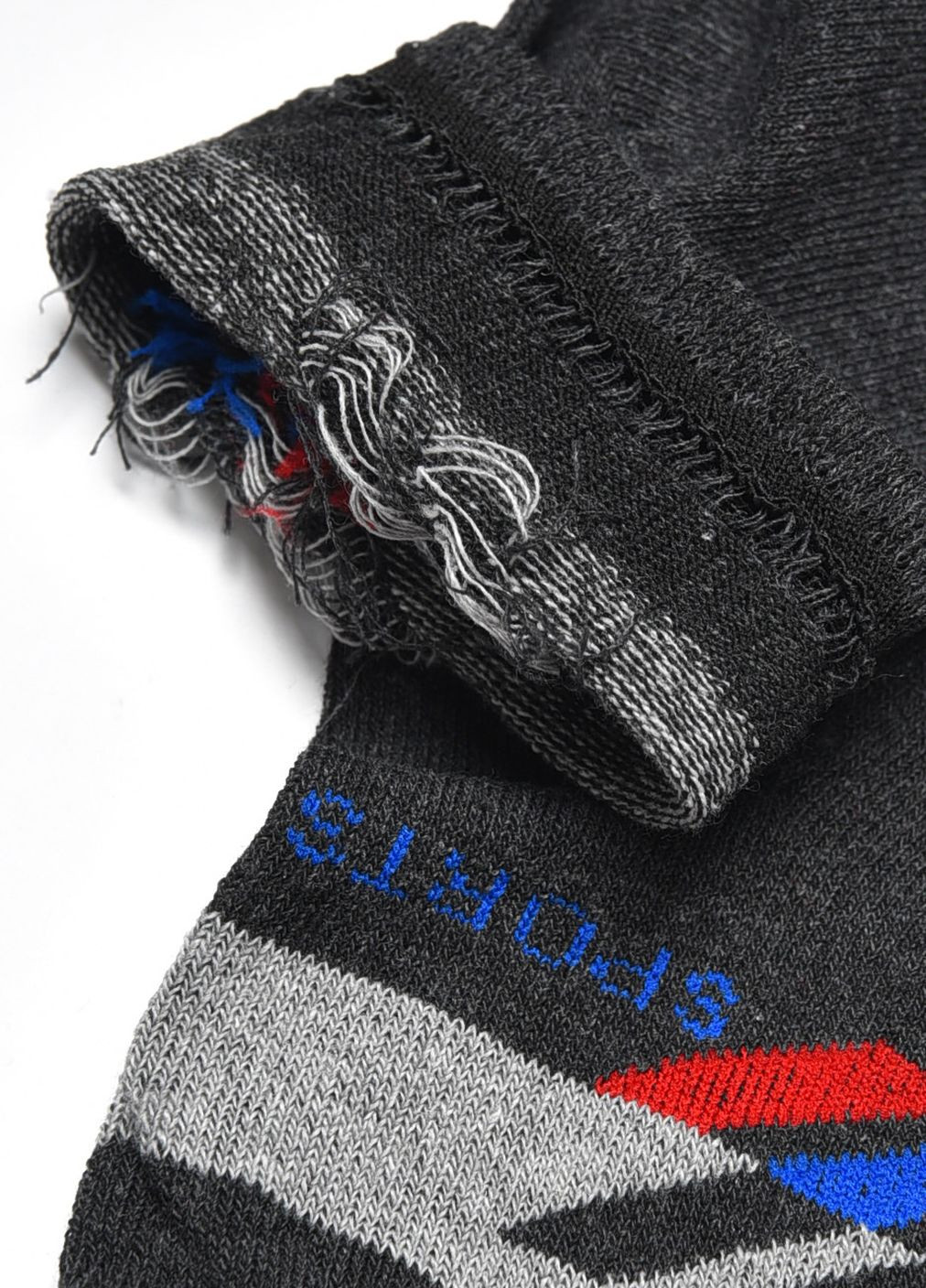Шкарпетки чоловічі спортивні темно-сірого кольору розмір 41-45 Let's Shop (278050365)