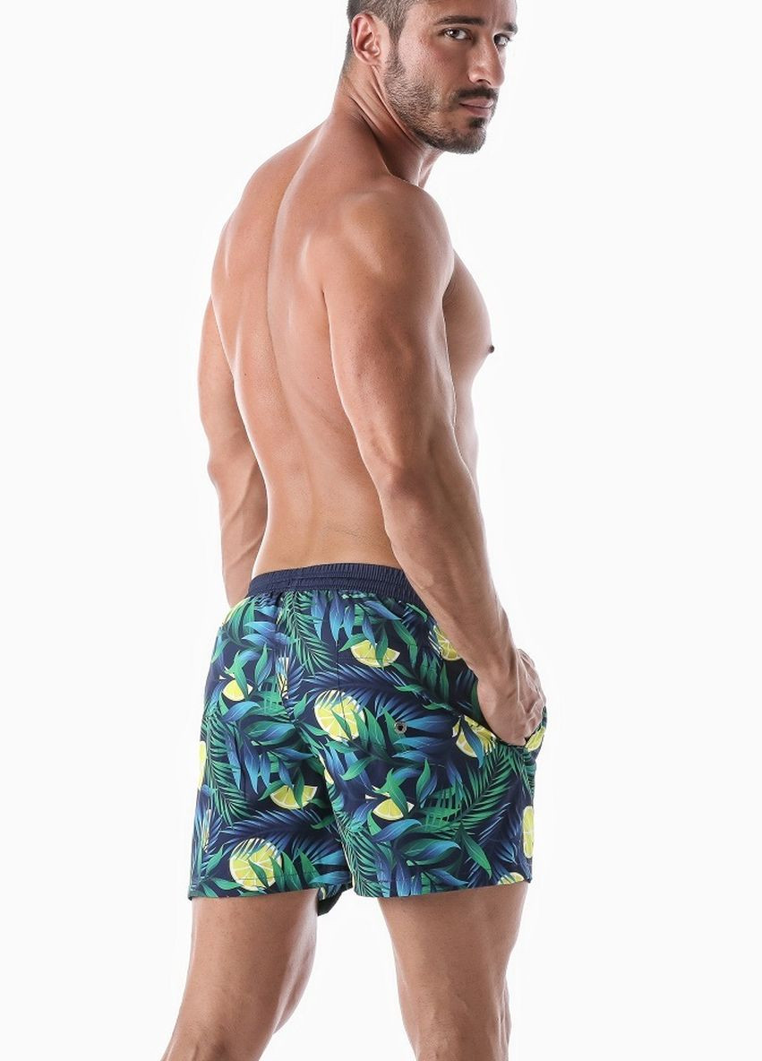 Мужские темно-зеленые пляжные шорты пляжные 2021p1 семейные, шорты Geronimo