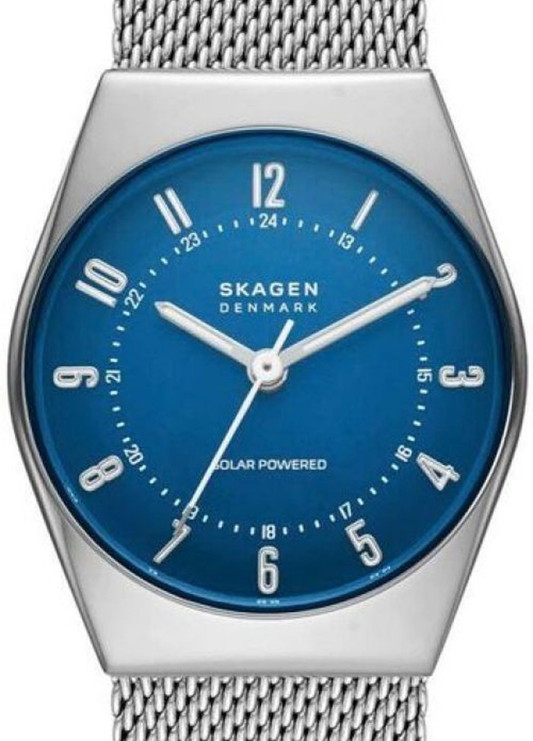 Часы SKW3080 кварцевые fashion Skagen (277979521)