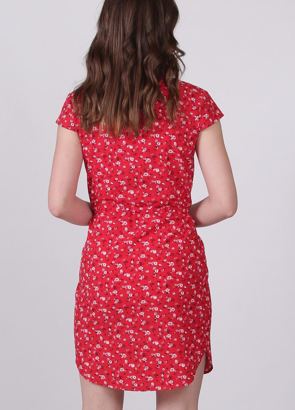 Червона кежуал сукня жіноча 004 ромашка гілка біла софт червоне Актуаль