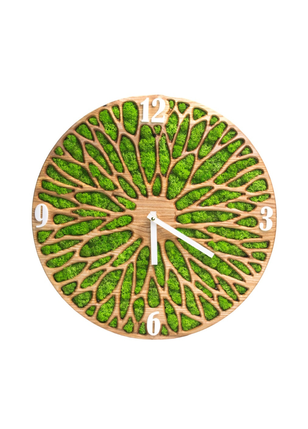 Годинник настінний стильний практичний круглий зі стабілізованим мохом із дерева 50х50х4 см (475804-Prob) Білі цифри Unbranded (271666226)