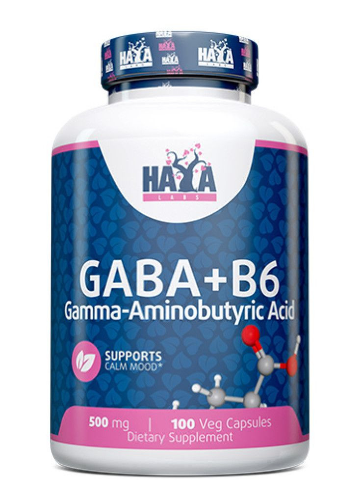 Гамма-аміномасляна кислота + Вітамін В6 Gaba + B6 500 mg 100 caps Haya Labs (265092111)