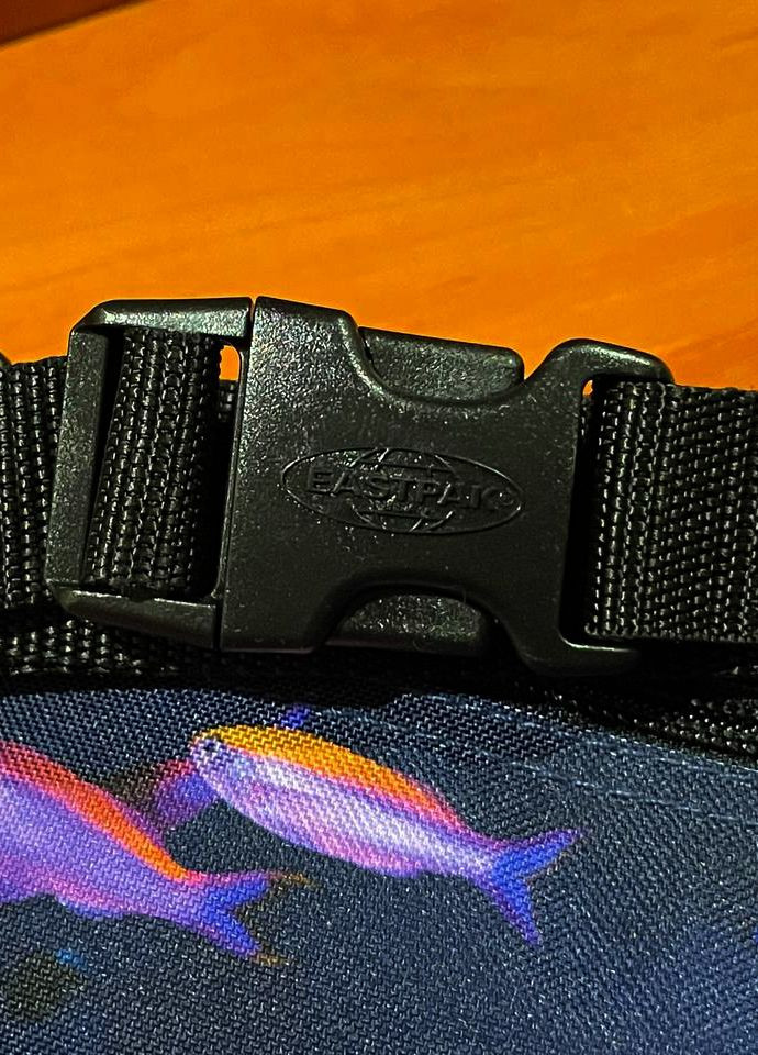 Сумка на пояс унісекс бананка Eastpak EK074 W05 Springer National Geographic Fish (268222903)