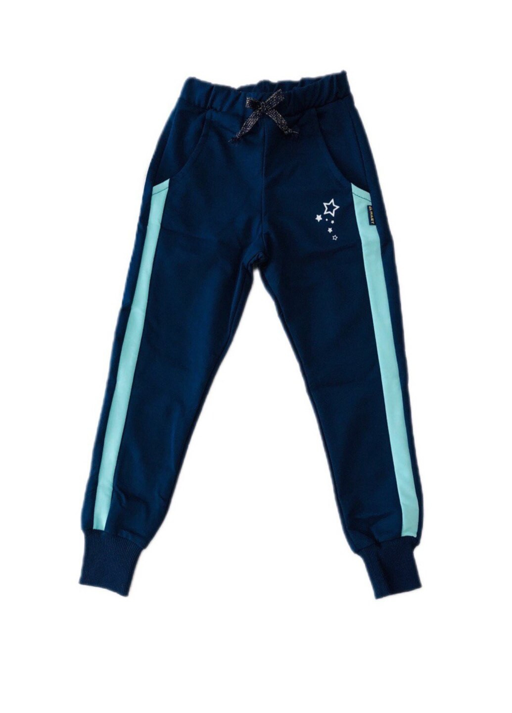 Синие спортивные демисезонные брюки HART