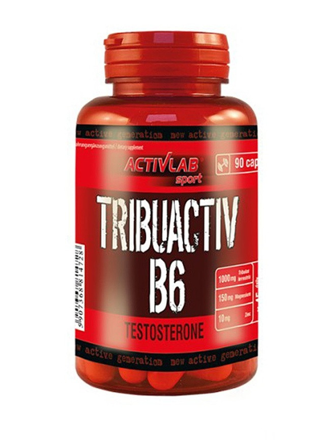 Трибулус Tribuactiv B6 90 caps ActivLab (256979558)
