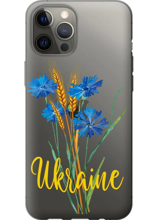 2D пластиковый чехол 'Ukraine v2' для Endorphone Apple iPhone 12 Pro Max (257954296)