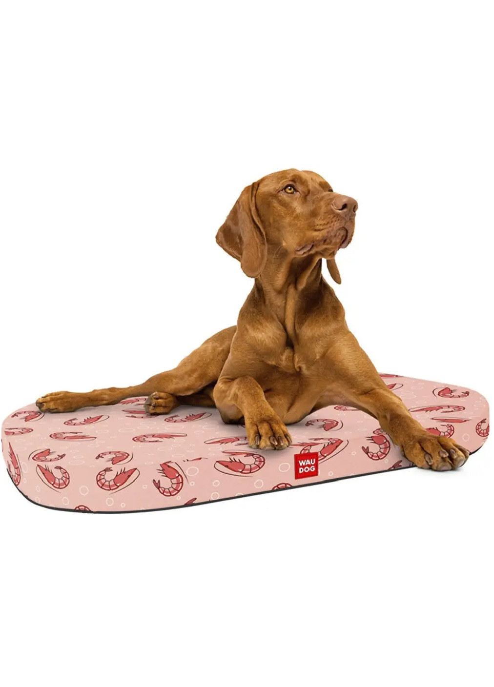 Лежанка кровать лежак спальное место для сна отдыха собак щенков со съемным чехлом 55x40 см (474771-Prob) Креветки Unbranded (259683369)