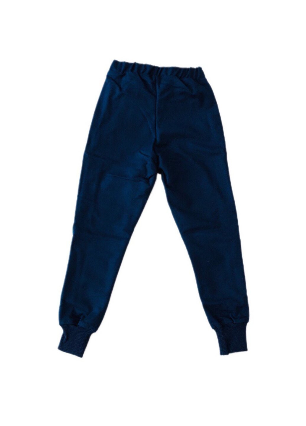 Синие спортивные демисезонные брюки HART