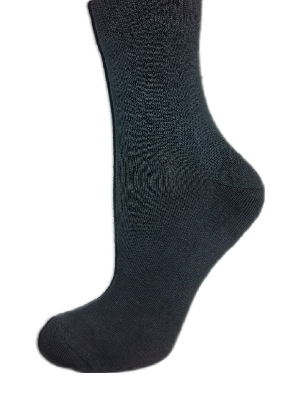 Шкарпетки мужские махрова стопа 2051 GoSocks середня висота (266493583)