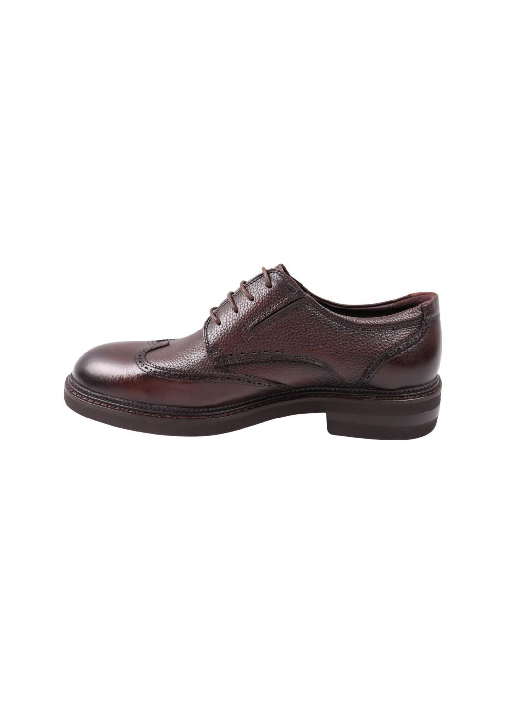 Туфлі чоловічі Lido Marinozi коричневі натуральна шкіра Lido Marinozzi 308-23dt (261856731)
