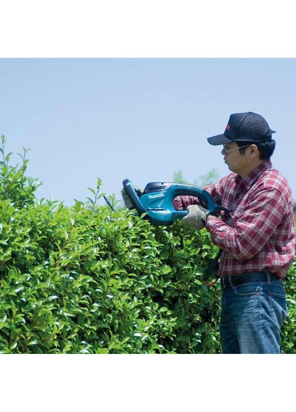 Ножницы для живой изгороди UH6570 (65 см) Makita (258231980)