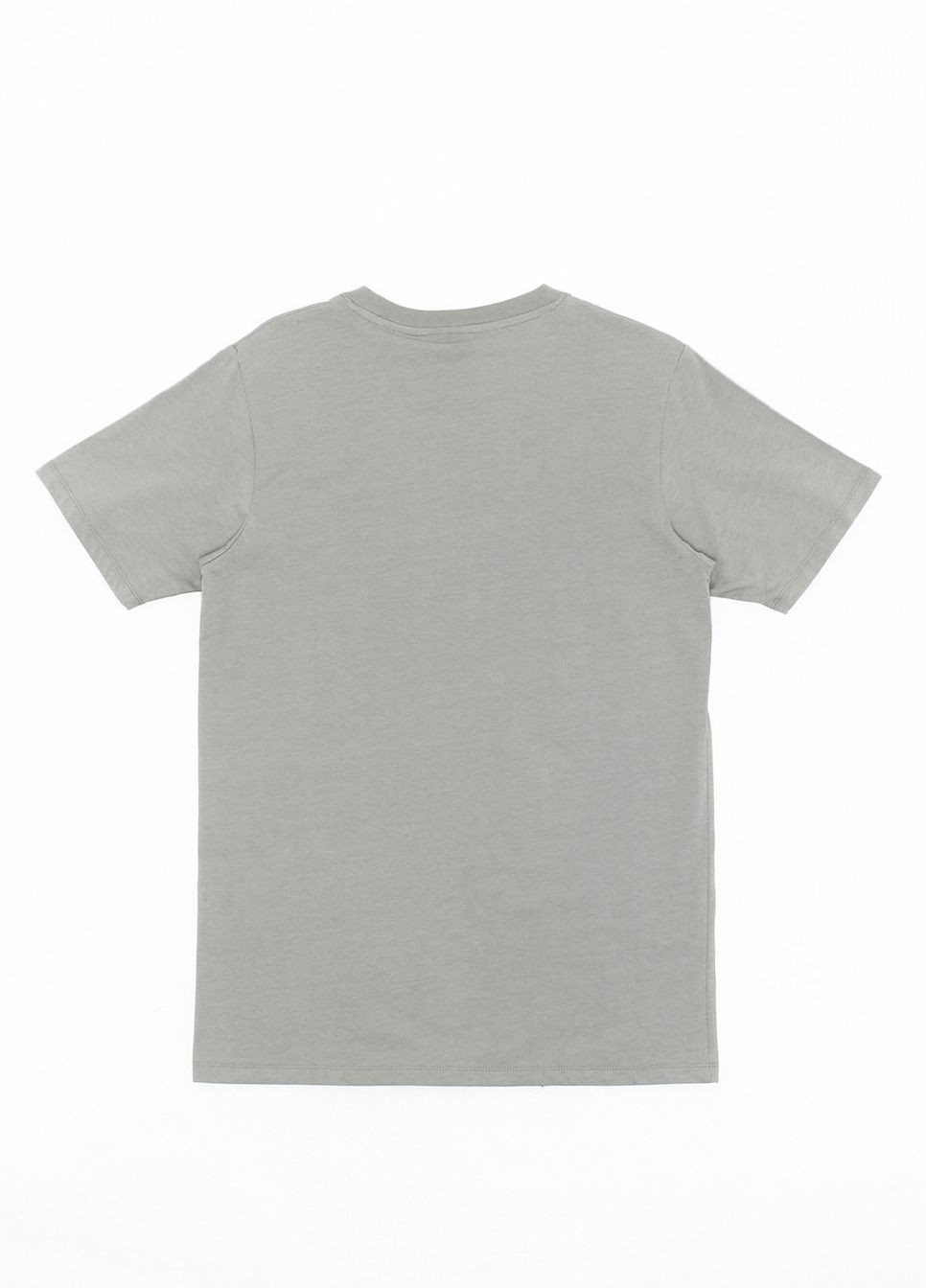 Сіра футболка,сірий з принтом, Wesc