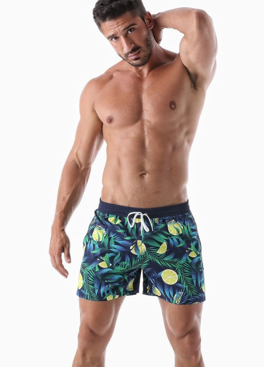 Мужские темно-зеленые пляжные шорты пляжные 2021p1 семейные, шорты Geronimo