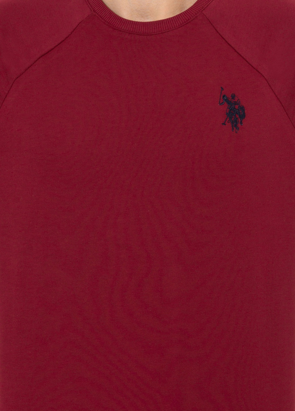Свитшот мужской U.S. Polo Assn. - крой вишневый - (258470725)