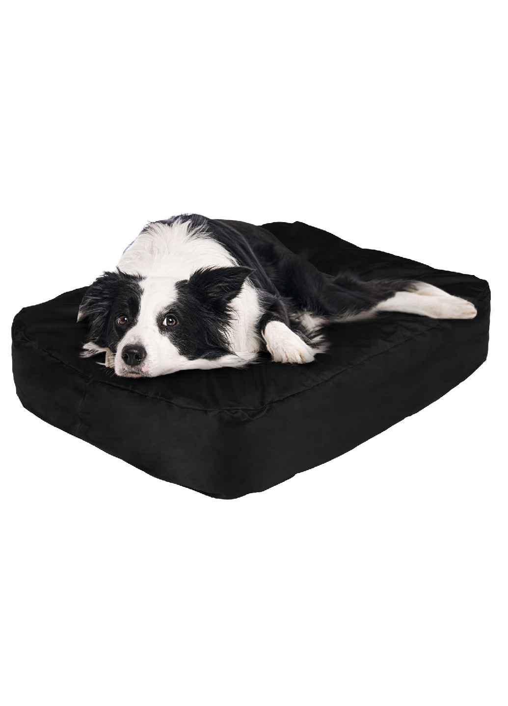 Лежак надувний для собаки чорний Zoofari (262085049)