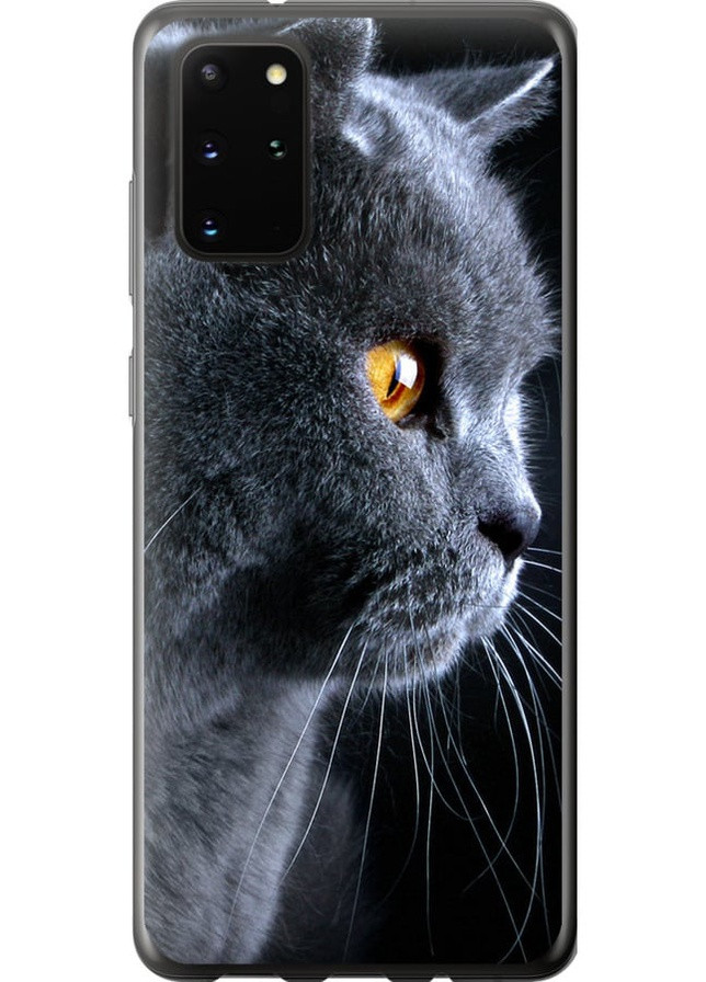 2D пластиковий чохол 'Гарний кіт' для Endorphone Samsung Galaxy S20 Plus (257954096)